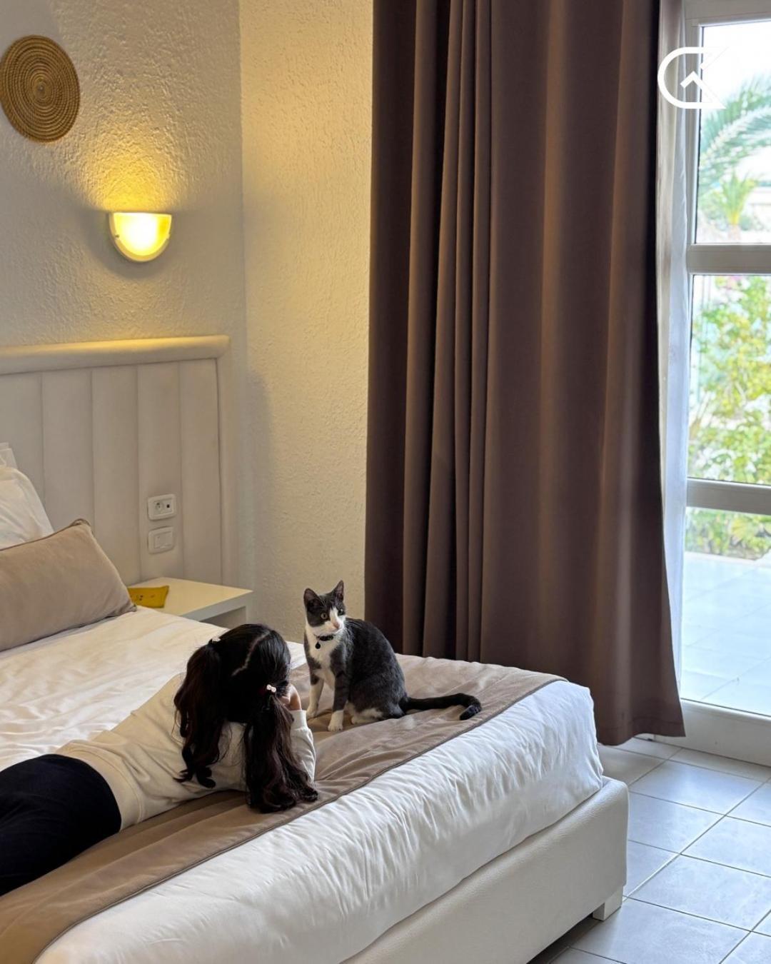 เลอเพรสซิเดนท์ Hotel ฮัมมาเม็ต ภายนอก รูปภาพ