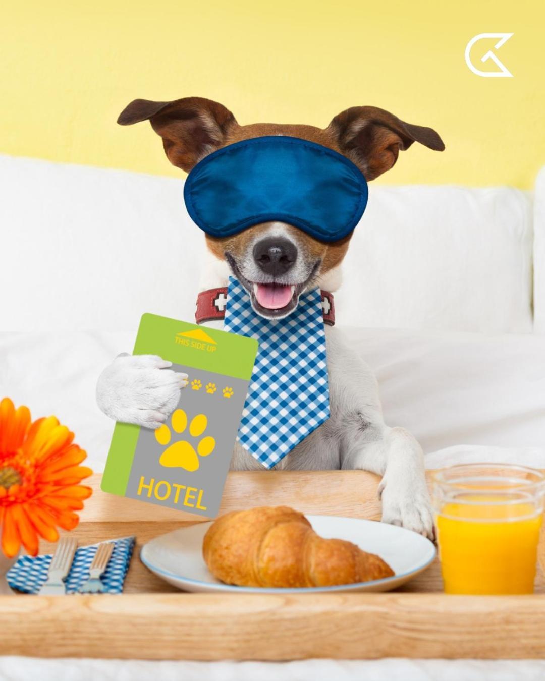 เลอเพรสซิเดนท์ Hotel ฮัมมาเม็ต ภายนอก รูปภาพ